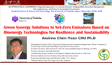 Green Synergy Solutions to Net Zero Emissions Based on Bioenergy